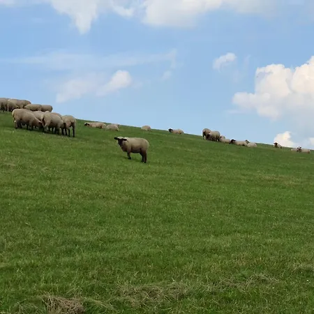 Ferienhaus Haus Küstenbrise - Urlaub Mit Hund An Der Küste Mit Eigenen Garten, Sauna Und Gemütlichen Kaminfeuer *