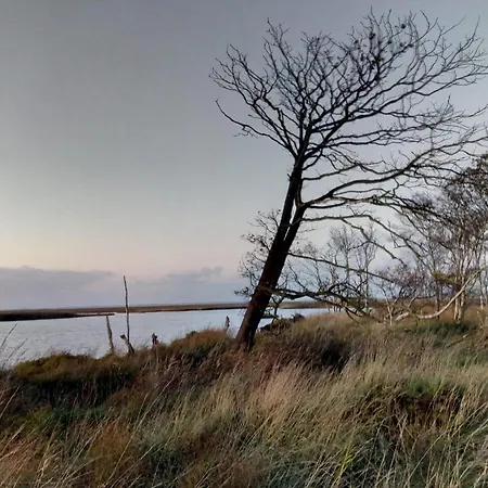 Haus Kuestenbrise - Urlaub Mit Hund An Der Kueste Mit Eigenen Garten, Sauna Und Gemuetlichen Kaminfeuer Semesterbostad Schweiburg
